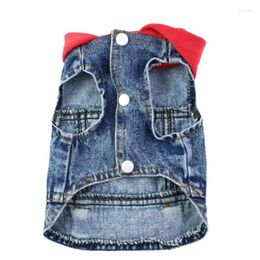 Dog Apparel Pet Clothes Bichon Teddy Hooded Ripped Little Daisy Embroidered Denim Vest Spring Autumn And Winter