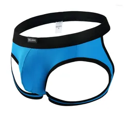 Underpants Male Briefs Men's Underwear Mens Open BuBriefs Gay Erotic Transparent Breathable Low Waist