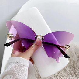 Sunglasses Butterfly Women's Fashion Large Frame Gradient Colour European And American Trendy Street Pos Su
