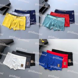 High Quality Mans Boxers Designer Letter Printed Underwear Men Cotton Boxer Shorts Modal Underpant