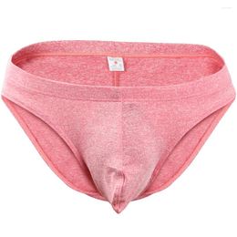 Underpants 4 Colors Cotton Briefs Men Underwear Sexy Low Waist Breathable Shorts Panties Soft Solid Plus Size 2024 M-XL