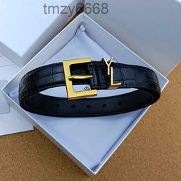Luxury Designer Belts for Womens Buckle Fashion Genuine Leather Women Men Letter Gold Silver Brown Wide 2.8cm with Box PSHI