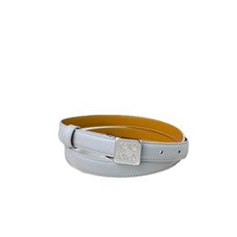 Designer Belt for Women Jeans Skirt Belt with Suit Belt High Quality Luxury Genuine Leather Women's Belt Width 2cm Copper Buckle with Box Lower