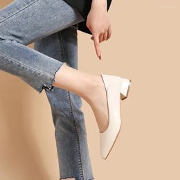 Dress Shoes Leather Women Mules Commuter Comfortable Thick High Heels 2024 Spring Pointed Black Mid-heel Office Pumps 34