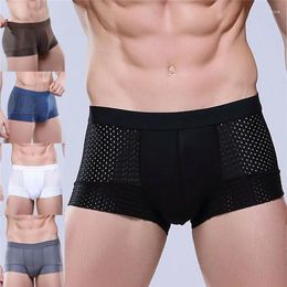 Underpants Men Underwear Boxer Shorts Modal Fibre Bulge Pouch Sexy Comfortable Breathable Multi-colors