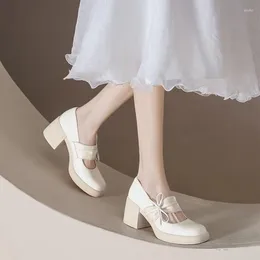 Dress Shoes Spring And Autumn French Mary Jane Bow Thick Platform High Heels Shallow Mouth Round Single Shoe Woman