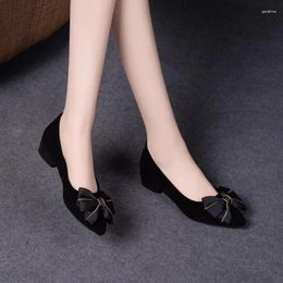 Dress Shoes 2024 Spring Summer Single Women Low Heel Soft Sole Leather Womens Black Fashion