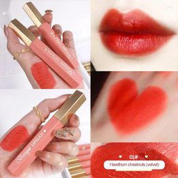 Lip Gloss 6 Colours Mirror Lipstick Matte Texture Waterproof Sweat Resistant Long Lasting Glaze Sexy Red Makeup TSLM2