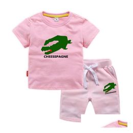 Clothing Sets Children Boy Girl Brand Animal Print Clothes 100% Cotton Kid Tennis Jerseys Short Sleeve Pink Tshirt Top And Shorts 2P Dhjno