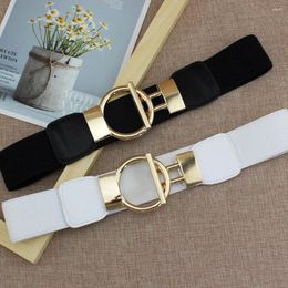 Belts Fashion Gold Elastic Accessories All Match Round Buckle Cummerbunds Waist Waistband