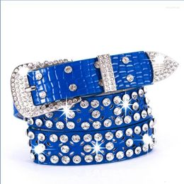 Belts 2024 Selling Women Belt Crystal Fashion Dress Decorative Button Metal Rivet Jeans Accessories 108CM Red Blue
