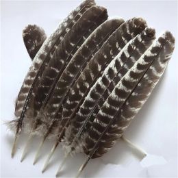 Accessories Wholesale Natural Eagle Feathers 1016 Inch(2040cm)eagle Bird Turkey Pheasant Feather for Crafts Diy Wedding Decoration Plumes