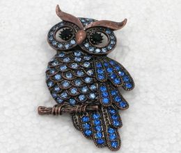 Whole Crystal Rhinestone Owl Brooches Fashion Costume Pin Brooch Jewellery gift C9439595550