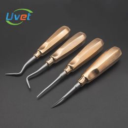 Supplies Veterinary Dental Tools Kits Animal Pet Tooth Extraction Pet Hospital Vet Cat Dog Dental Tools Veterinary Dental Instruments Kit