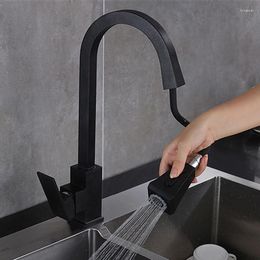 Kitchen Faucets Sink Faucet Rotatable Retractable Stainless Steel With Pull Out And Cold Water Deck Mounted