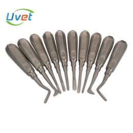 Instruments Veterinary dental instruments Animal Pet Tooth extraction Pet hospital Vet cat dog dental tools Veterinary Dental Tools