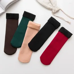 Women Socks Autumn And Winter Adult Warm Floor For Men Fashionable Solid Colour Mid Tube Plush Thick Snow