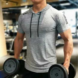 Men Quick Dry Bodybuilding TShirt Running T Shirt Hoodie Short Sleeve Solid Hooded Tops Tees Shirts Male Sportswear Blouse 240219