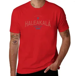 Men's Polos Haleakala National Park T-Shirt Short T Shirt Man Slim Fit Shirts For Men