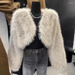 Women's Fur Supply High Quality 13 Lines Autumn And Winter Korean Style Sense Slimming Short Arc Furry