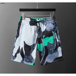 Mens Shorts Swimming Trunks Men Summer Beaches Board Pants Casual Black Boardshorts Homme Classic Beach Short Male