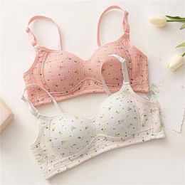 Yoga Outfit Japanese Sweet And Cute Bra Student Sleep Underwear Sports Tops Female Small Chest Gathered Anti-Sagging No Steel Ring Trace