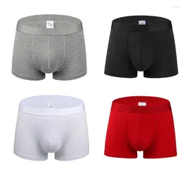 Underpants 2pcs/lot NXY Boxershorts Men Mens Boxers Underwear Brand Solid Shorts Boxer Knickers For Man Cueca Masculina