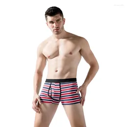 Underpants Men Boxers 10 Pcs/lot Cotton Big Man Short Striped Flexible Shorts Boxer Hombre With 3D US Pluse Size