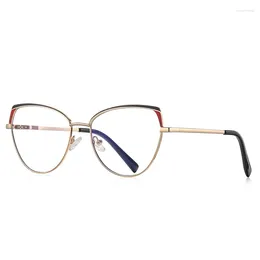 Sunglasses Frames 55mm Clear Lens Blue Light Philtre Glasses For Women Metal Frame Red Cat Eye 3105