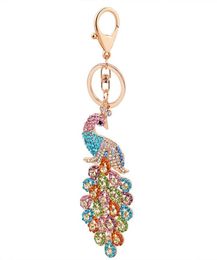 10pcsLot Women Peacock Keychain Bling Rhinestone Key Chain Elegant Colourful Peacock Animal Key Ring Bag Pendant Charm Keyring1116994