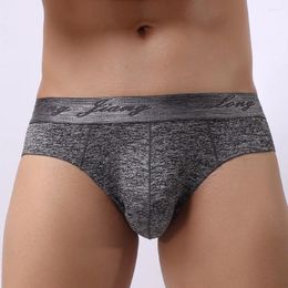 Underpants Men's Underwear Cueca Comfortable Soft Briefs Gay Knickers Shorts Sexy Ropa Interior Hombre