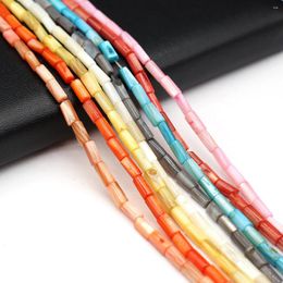 Link Bracelets Natural Cylinder Shell Through Hole Beaded Decorative Fashion Bracelet Necklace Elastic Rope Reiki Jewelry Gift