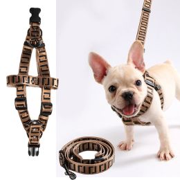 Harnesses Dog Collar Luxury Designer Brown Puppy Harness Chest Small Dog Leashes Set Articles For Pets Dog Leash Harness and Collar Set