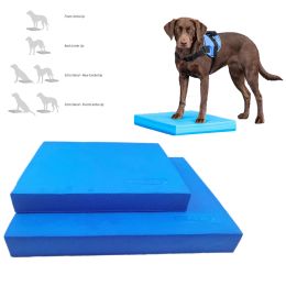 Instruments Pet Animals Rehabilitation Trainning Balance Cushion Ladder Daily Exercise Dog Cat Care Clinic Supplies