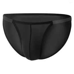 Underpants Sexy Men's Panties Briefs Solid Black White Mesh Thin G-string Pouch Low Waist Breath Underwear Lingerie