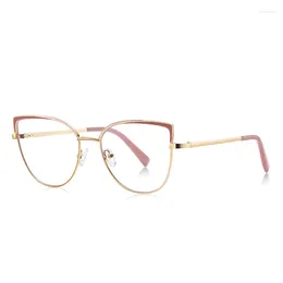 Sunglasses Frames 55mm Clear Lens Blue Light Filter Glasses For Women Metal Frame Pink Cat Eye 3103