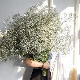 White Natural Dried Gypsophila Babys Breath Flowers Arrangement Home Decoration Wedding Table Decor Floral DIY 240223