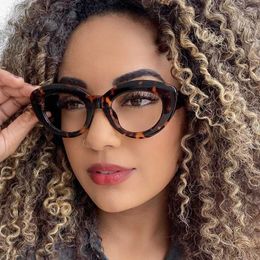 Sunglasses 2022 New Fashion Sexy Cat Eye Glasses Women Vintage Stripe Frame Optical Anti-blue Eyeglasses Female Leopard Oculos Spectacles J240226