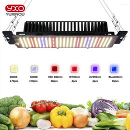 Grow Lights 300W LED Light With Sam-sung LM2835 Full Spectrum Plant Growth Lamp For Indoor Greenhouse Hydroponics Flower Seeding