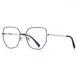 Sunglasses Frames 55mm Alloy Optical Glasses Frame Women Myopia Eyeglasses For Men Clear Lens Large Square Eyewear 3093