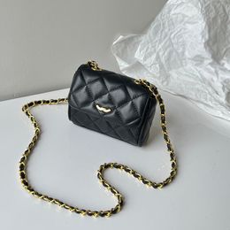 Womens Classic Mini Vanity Bags With Gold Metal Hardware Matelasse Chain Crossbody Shoulder Handbags Tiny Coametic Case Card Holde264L