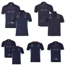 F1 Team Driver's Clothing 2024 New Summer Short-sleeved Quick-drying Clothes Plus Size Racing Clothes for Men and Women
