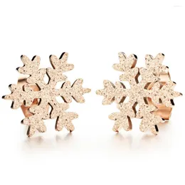 Stud Earrings Fashion Jewelry Accessories Top Quality Stainless Steel Snowflake For Women Girls Femme Bijoux