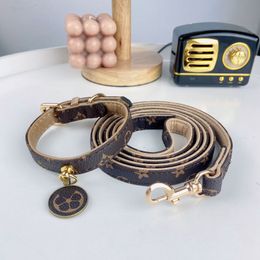 Fashion Brand Pet Collar Cat Presbyopic Classic Dog Collar Haulage Rope Package Factory Direct Sales