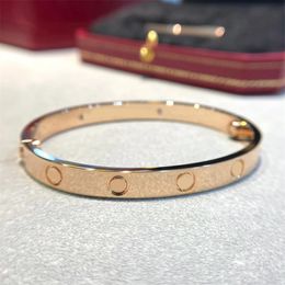 Plated silver gold bracelet metal bangle rose pulsera designer Jewellery man love mothers day luxury bracelets for teen girls trendy elegatnt screw ZB061 e4