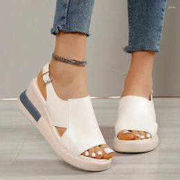 Solid Open Colour Sandals 2024 Women Toe Wedge High Summer Heels Casual Ladies Buckle Strap Fashion Mujer 4943 359