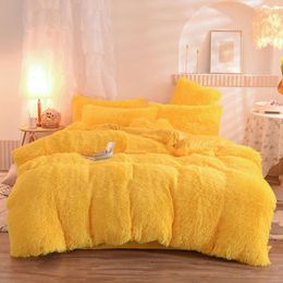 Autumn and Winter Mink Coral Crystal Flannel Milk Velvet Four Piece Bedding Set