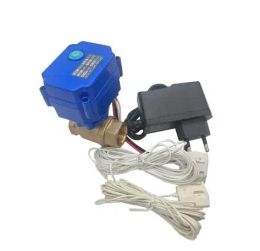 Detector Water Leakage Detection Valve Warn System DN15 DN20 DN25 BSP Motorised Ball Valve with Buzzer and Sensitive Water Detector Cable