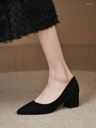 Dress Shoes 2024 Platform Heels Women's High-Heeled Sandals Ladies Slip On Pointed Pumps Soft Bottom Lace-Up Work Professional B