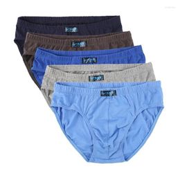 Underpants Men's Triangle Underwear Cotton Shorts Waist Youth Pants Fat Increase Breathable Comfortable Large Size